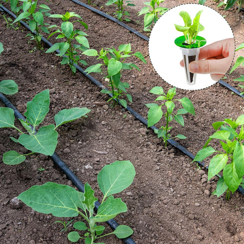 240 Vesici Pieces Hydroponic Pod Kit Including Grow Baskets Grow Sponges and Domes Pod Labels Hydroponics Growing Kit