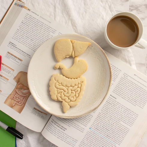 Set of 3 Gastrointestinal Anatomy Cookie Cutters (Intestines, Liver, Stomach) - Bakerlogy