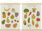 BCUANGD Fruits Vegetables Wall Decor - Toddlers Kids Preschool Poster Hanger with