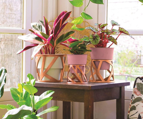 6 inch The HC Companies Indoor Plant Pot with Stand Small Curio Blush Planter with a Geometric Stand in a Copper Finish