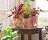 6 inch The HC Companies Indoor Plant Pot with Stand Small Curio Blush Planter with a Geometric Stand in a Copper Finish