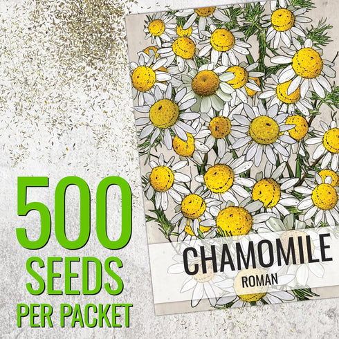 (1 Pack) Seed Needs Roman Chamomile Seeds for Planting - Non-GMO, Heirloom & Untreated - Grow a Home Grown Medicinal