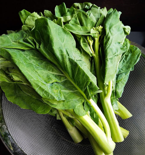 93% Gaea's Blessing Seeds - Gailan Seeds - Non-GMO Seeds with Easy to Follow Planting Instructions - Chinese Broccoli