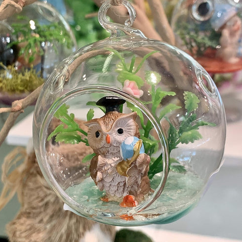 WGV Hanging Terrarium Globe, Clear Glass Vase Orb, 3" Width, 4" Height, DIY Air Succulent Planter, 6 Pieces Bulk