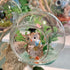 WGV Hanging Terrarium Globe, Clear Glass Vase Orb, 3" Width, 4" Height, DIY Air Succulent Planter, 6 Pieces Bulk