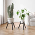 Set 2, PS-007BK-2 Adjustable Plant Stands of Metal Small Plant Holder, Heavy Duty Stable Flower Holder Stand Rack