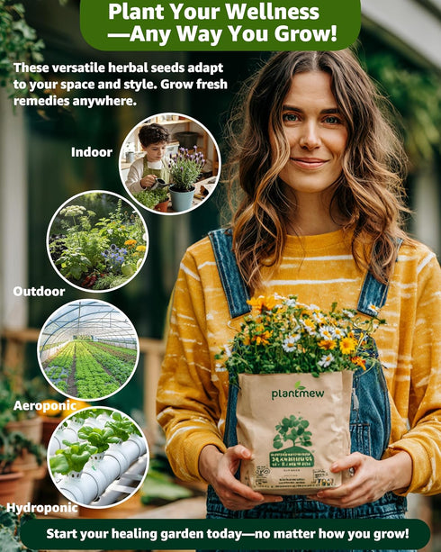 35 Pack Medicinal & Tea Herb Seeds for Planting - Non-GMO Heirloom Variety for Indoor/Outdoor Garden: Anise, Bergamot