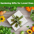 16 15,000+ Lush&Dew Pet-Friendly Heirloom Seed Bank, Gardening Gifts for Women Men, Varieties Non-GMO Seeds