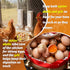 2 Pack Chicken Grit and Oyster Shell Feeder, Hanging Wall Mount Chicken Feeder Combo, Waterproof ABS Automatic Gravity