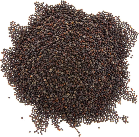 Rainbow Heirloom Seed Co. 1 LB Mellow Microgreen Salad Mix | Contains Purple Kohlrabi, Tendergreen, Turnip & Broccoli