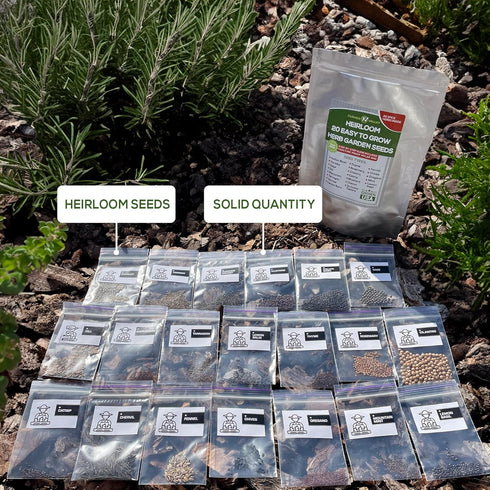 20 Easy to Grow Spice and Herb Seeds for Home Gardening - Kitchen & Culinary Herb Plant Seeds for Indoor, Outdoor