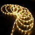 WYZworks 20ft LED Outside Rope Lights - 216 LEDs, Waterproof, ETL Certified Connectable Clear Tube for Warm White