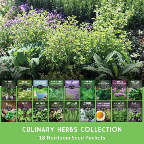 Pack 18 Culinary Herb Seeds Variety for Planting - Grow Heirloom Kitchen Herbs with Basil, Cilantro, Parsley, Dill