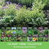 Pack 18 Culinary Herb Seeds Variety for Planting - Grow Heirloom Kitchen Herbs with Basil, Cilantro, Parsley, Dill