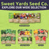 2 Packets! 500 Organic Lacinato Kale Seeds - Seed - Over Open Pollinated Heirloom Non-GMO USDA Organic Seeds
