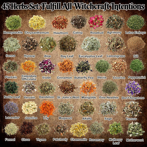 45PCS Herbs for Witchcraft - Wiccan Supplies and Tools - Witchcraft Supplies Dried Flowers Kit for Witch Beginner