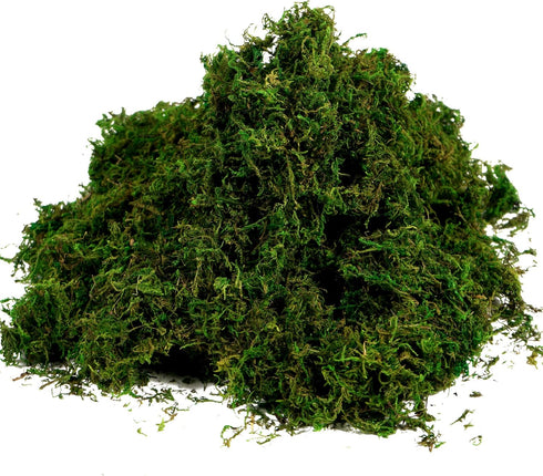 BYHER Artificial Moss Fake Green Grass for Centerpieces, Home Kitchen Garden Decor (3.5OZ, Fresh)