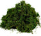 BYHER Artificial Moss Fake Green Grass for Centerpieces, Home Kitchen Garden Decor (3.5OZ, Fresh)