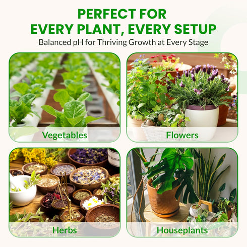 8 Humboldts Secret pH Down for Plants | Liquid pH Adjuster and Balancer for Soil Coco Hydroponics | Concentrated