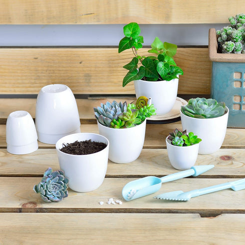 Youngever 24 Pack 2 Inch Mini Plastic Planters - White Indoor Flower Pots with Drainage