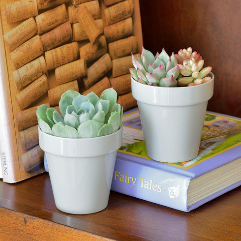 Youngever 10 Pack 3 Inch Mini Plastic Planters - Indoor Flower Pots, Grey Gardening Pots with Drainage for All House