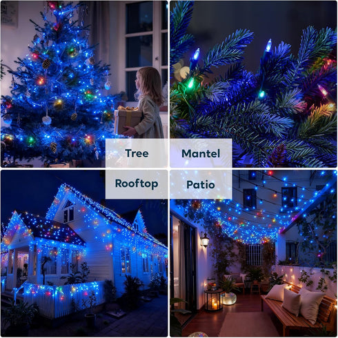 Lights,100 Count 26.4 Joiedomi Blue LED Christmas String Mini Fairy Light with FT Green Wire,Lighting Decor for Indoor