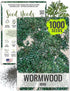 Seed Needs Wormwood Seeds for Planting - Non-GMO, Heirloom & Untreated Perennial