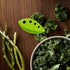 Chef'n Leaf Stripper for Kale, Chard, and Herbs - Quick & Easy