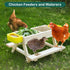 2 Boulphia Chicken Feeders and Waterers, Chicken Feeder No Waste Kit with Picnic Table and Water Feeder, Handmade
