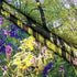 HVEST Forest Sunshine Tapestry, Spring Tapestry Wall Hanging, Nature Landscape Decor for Living Room Bedroom 40L x 60W