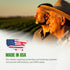 Pack 15 7300+ Lettuce & Salad Greens Seeds Variety Spinach, Kale, Arugula, Romaine & Iceberg Lettuce Varieties, Non-GMO
