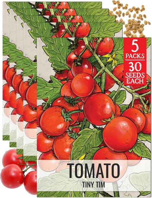 Seed Needs Tiny Tim Tomato Seeds for Planting Dwarf Cherry Tomatoes -