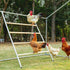 PETSFIT Square Chicken Roosting Perch, Perfect for Backyard Poultry, Chickens Perch for