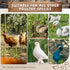 YUMEKA (74.4"), Large Chicken Roosting Bars with Swing Sturdy Metal Chicken Perch for Coop, Heavy Duty Jungle Gym