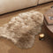 Ashler Faux Fur Rug, Beige Area Rugs, Fluffy Sheepskin Fur Rug, 2 x 3 Ft, Machine Washable Shag Rug