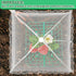 NODMIPNS 4 Sets Strawberry Plant Supports with Plant Protectors from Animals,Strawberry Growing Support Stakes