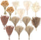 CKBT 300 PCS Dried Pampas Grass Decor, Dried Flower Bouquets for Wedding, Home,