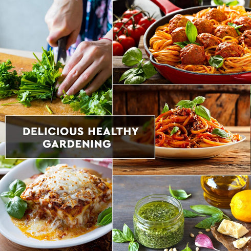 12 Pack Italian Herb Seeds - Heirloom and Non GMO, Grown in USA - Indoor or Outdoor Garden - Four Basil Varieties