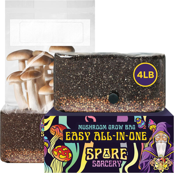 SPORE SORCERY 4 LB All-in-One Grow Bag: Up to 32oz of Mushrooms!