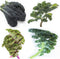 Sunutri Seeds Kale Seeds Collection, 1000+ Heirloom, Non-GMO Seeds - Black Tuscan, Red Russian,