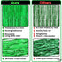 KatchOn Green Streamers, 3.2x8 Ft, Pack of 2, Backdrop for Jungle Party Decoration, Tropical Safari Decorations