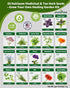 35 Pack Medicinal & Tea Herb Seeds for Planting - Non-GMO Heirloom Variety for Indoor/Outdoor Garden: Anise, Bergamot