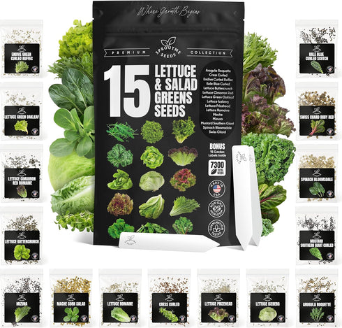 Lettuce & Salad Greens Seeds Variety Pack Spinach, Kale, Arugula, Romaine &