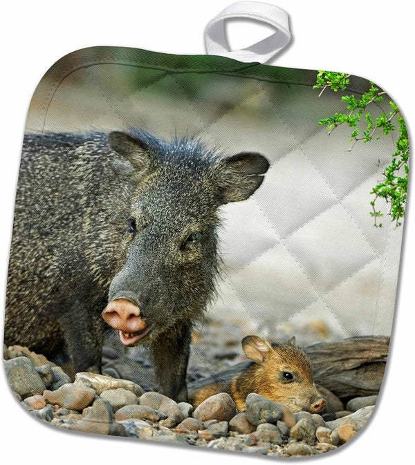 3D Rose Texas-Rio Grande Valley Javelina Wildlife Pot Holder, 8" x 8"