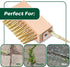 Set, w/2 SCRUBIT Moss & Weed Remover Wired Grout Cleaner Brush, Great for Cleaning Decks, Pavers, Patios & Walkways