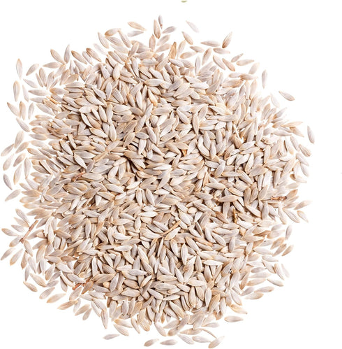 (1 Pack) Seed Needs Romaine Lettuce Seeds for Planting Parris Island COS - Non-GMO Heirloom & Untreated Annual Cool