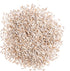 (1 Pack) Seed Needs Romaine Lettuce Seeds for Planting Parris Island COS - Non-GMO Heirloom & Untreated Annual Cool