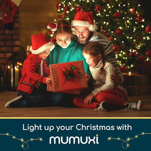 MUMUXI Battery Operated LED Fairy Lights, 16 Pack, 10ft Warm White, Indoor Outdoor Usage