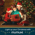 MUMUXI Battery Operated LED Fairy Lights, 16 Pack, 10ft Warm White, Indoor Outdoor Usage