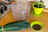 1 Food to Live - Kale Seeds, Pound - Great for Sprouting and Planting, High Germination Rate, Non-Irradiated, Kosher